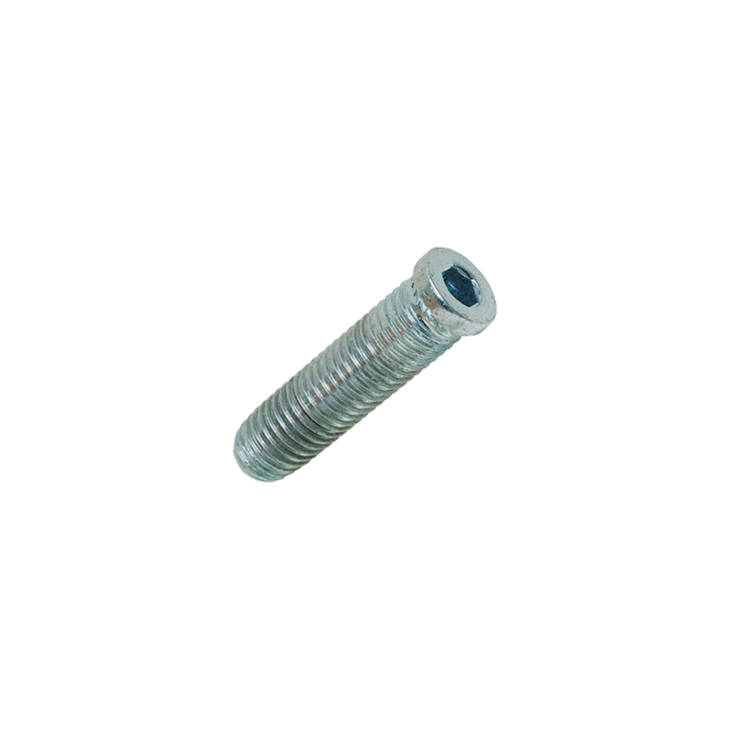 Vis de fixation directe pour paumelle LOIRA+ - FAPIM