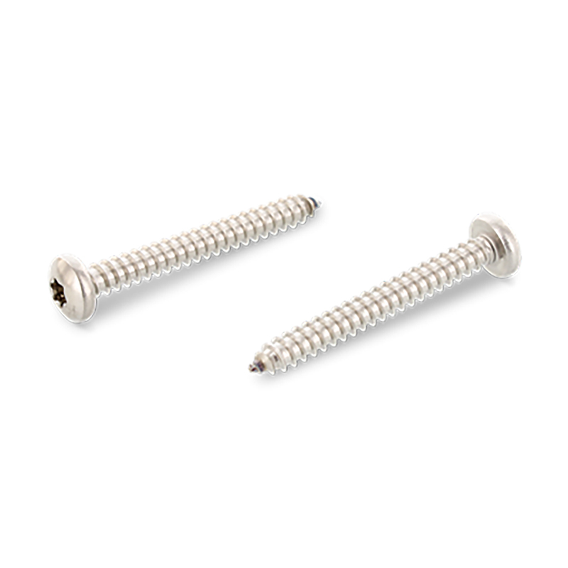 Vis à tôle tête cylindrique bombée TX inox - SCHÄFER + PETERS
