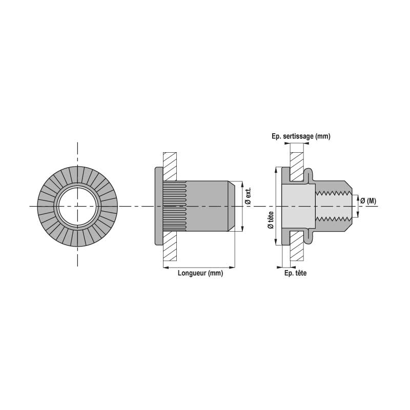Écrou à sertir cranté inox tête plate